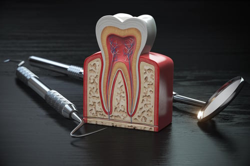 Tooth Saver: What's an Endodontist?