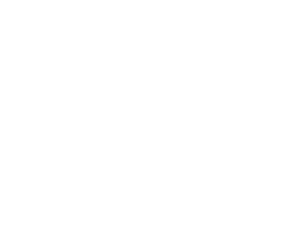 White Logo
