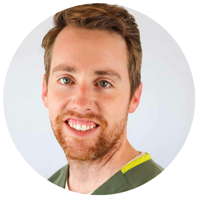 ian stelzer