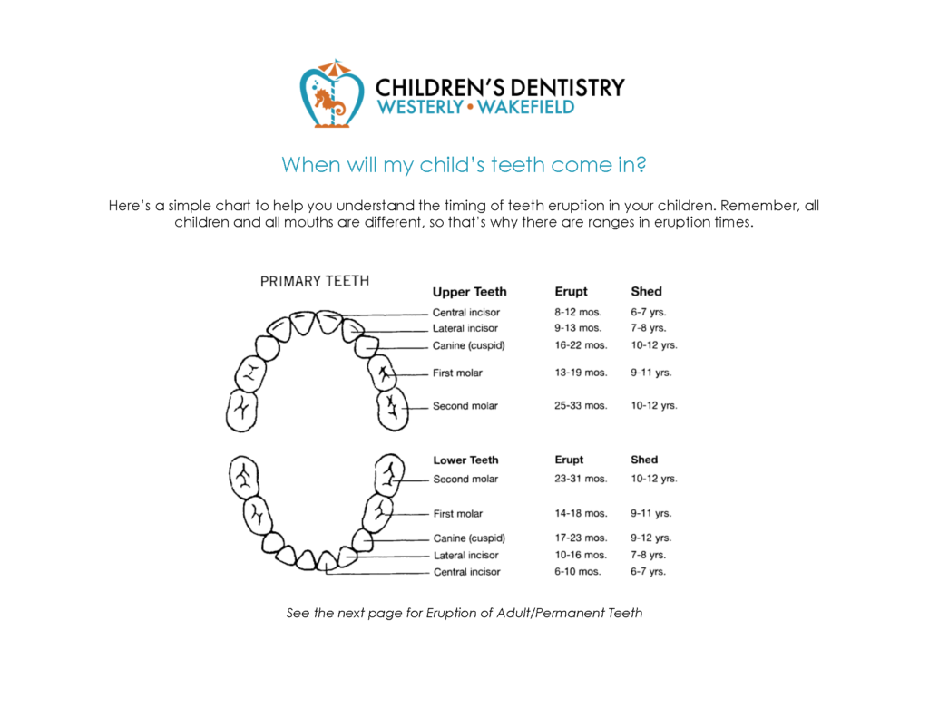 Teeth Eruption Chart