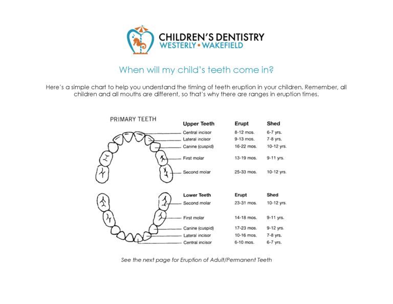 Teeth Erupt Chart - Children's Dentistry of Westerly and Wakefield